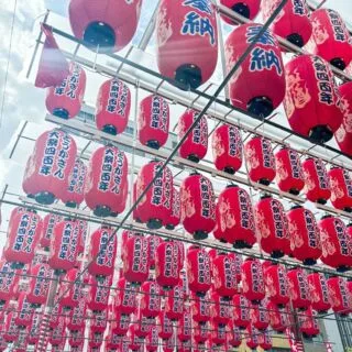 6月になりましたね✨🐠
広島を代表する夏祭り「とうかさん大祭」
今週金曜日から3日間に渡り、開催されます✨👘

広島三大祭りのひとつ「とうかさん大祭」は、
圓隆寺に祀られている「稲荷（とうか）大明神」の祭礼で、
稲荷大明神を「いなり」と唱えず、音読みで「とうか」と呼んだ事が語源と言われています🦋

「とうかさん」は「浴衣の着始め祭」とも呼ばれ、大祭期間中は多くの浴衣姿の参拝者で賑わいを見せていますよ✨🦋

浴衣を着る大義名分はなんでもよくて、
浴衣で広島の街を歩いてみませんか？

それは大切な人とでも、友達でも、1人でも、
きっと素敵な思い出になるはず。

夏の始まりのイベントに、
リバーホテルも寄り添っていきたいです☺️✨
県外からのご宿泊や素泊まりにぜひご利用ください🌿🕊️

June is here✨🐠.
 Toukasan Grand Festival, one of Hiroshima's most popular summer festivals
 It will be held for three days starting this Friday ✨👘.

 The "Tokasan Grand Festival" is one of the three major festivals in Hiroshima,
 It is a festival of "Inari (Toka) Great Myojin" enshrined in Enryuji Temple,
 The word "Tokasan" is said to have originated from the fact that Inari Daimyojin was not chanted as "Inari" but was called "Toka" (read phonetically) 🦋.

 Tokasan" is also known as "the festival where people start wearing yukata," and is crowded with visitors wearing yukata during the festival ✨🦋.

 Any cause to wear a yukata is a good reason to wear a yukata,
 Why not walk the streets of Hiroshima in yukata?

 Whether it is with your loved ones, friends, or alone,
 It will surely be a wonderful memory.

 The event marks the beginning of summer,
 River Hotel would like to be there for you. ☺️✨
 Please come and stay with us from outside of the prefecture or stay with no meal 🌿🕊️

詳しくは、当ホテルのホームページ、
もしくは直接☎︎082-506-1901までお問合せください🕊️

#広島観光#広島旅行#広島#学生旅行#旅#旅女
#グループ旅行#グループ旅#広島ホテル#ひろしまにあ
#japanesehotel#japantravel#familytrip#familytrip#travel#hiroshima#hiroshimatrip#hiroshimahotel#japan#travel
#とうかさん#浴衣祭り